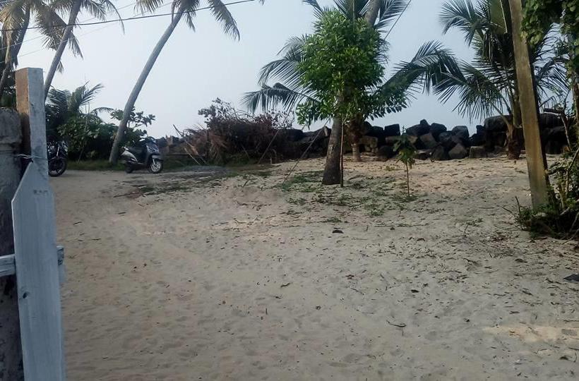 Bed and Breakfast White Pepper Funky Art Beach House 19