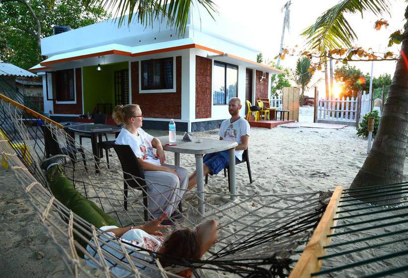 Bed and Breakfast White Pepper Funky Art Beach House 3