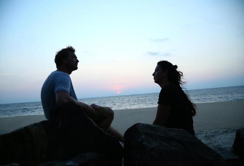 Bed and Breakfast White Pepper Funky Art Beach House 6