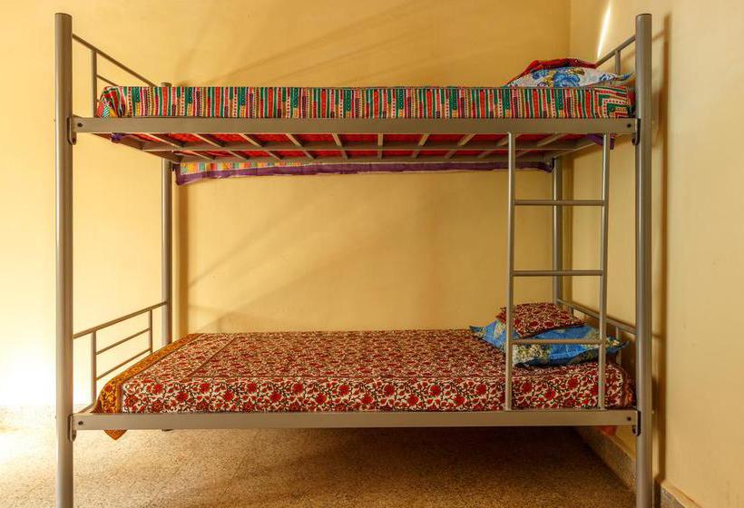 White Noise Hostel 1