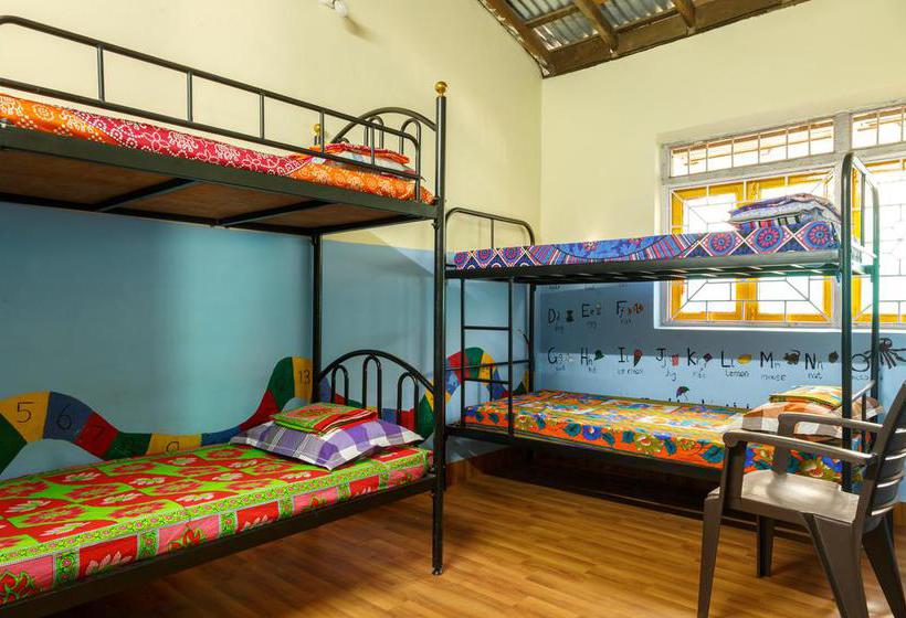 White Noise Hostel 8