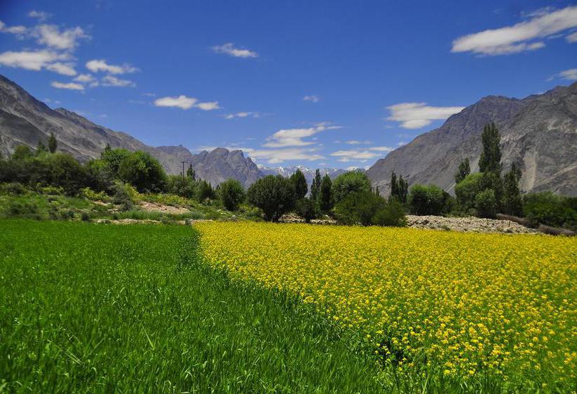 Resort Nubra Leisure Camp 16