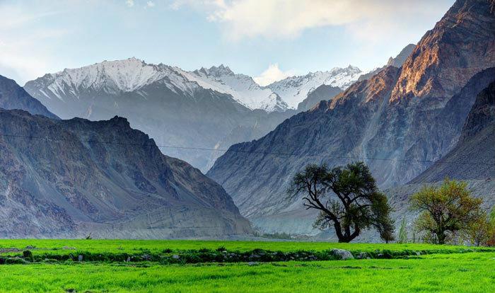 Resort Nubra Leisure Camp 20