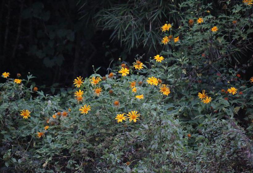 Misty River Resort 16