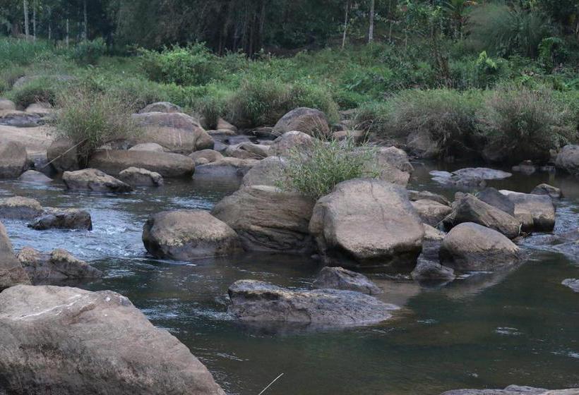 Misty River Resort 18