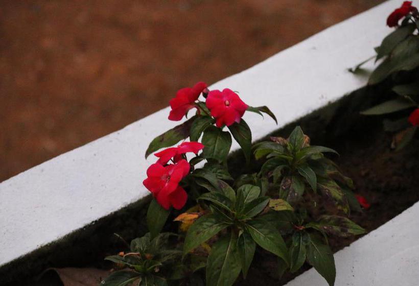 Misty River Resort 20