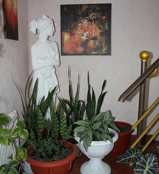 Hotel Vostochnaya 11