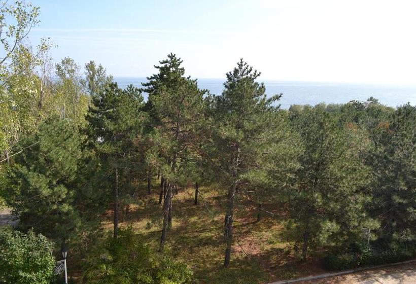 Hotel Sanatoriy Topol 8