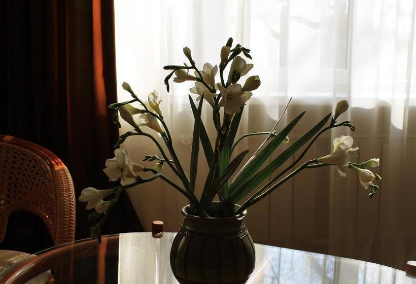 Hotel Yuzhnaia Noch 16