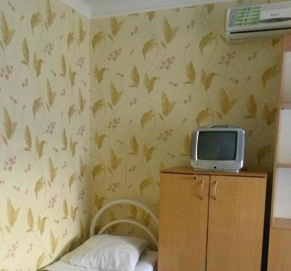 Hostel Tsentralny 10