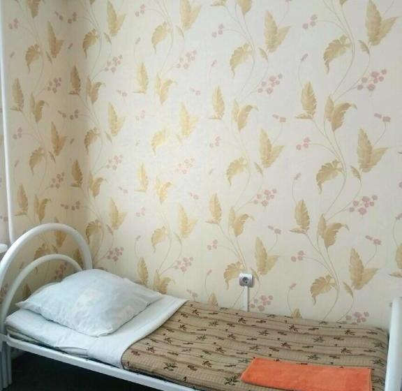 Hostel Tsentralny 15