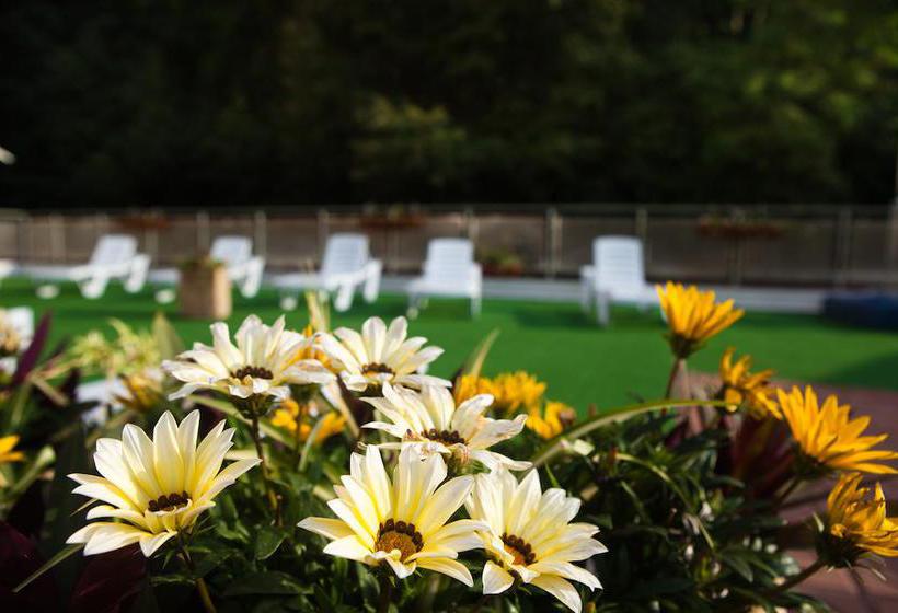 Plaza Resort Kislovodsk 9