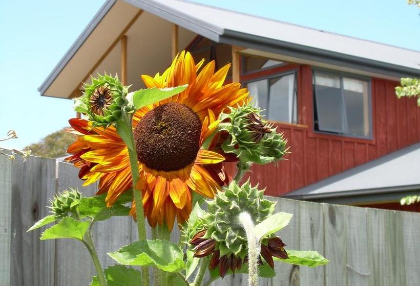 Estuary Overnight B&b 14