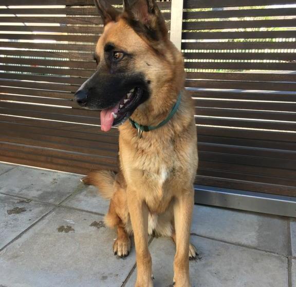 Bed and Breakfast Family Home In Vredehoek 12