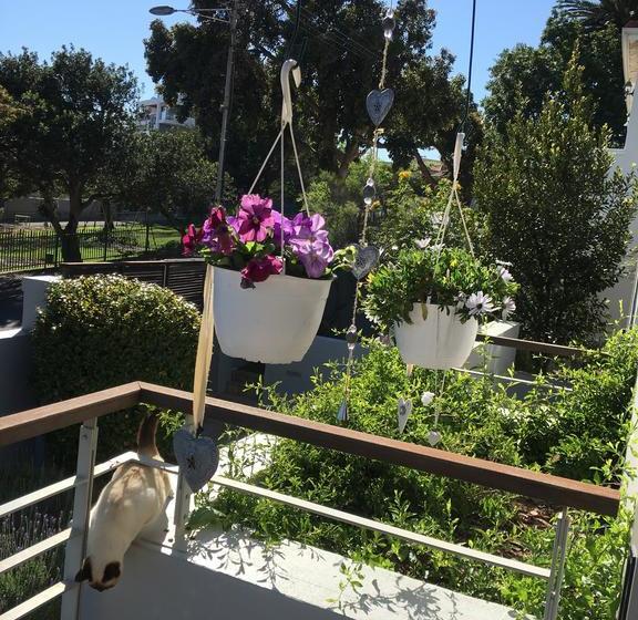 Bed and Breakfast Family Home In Vredehoek 13