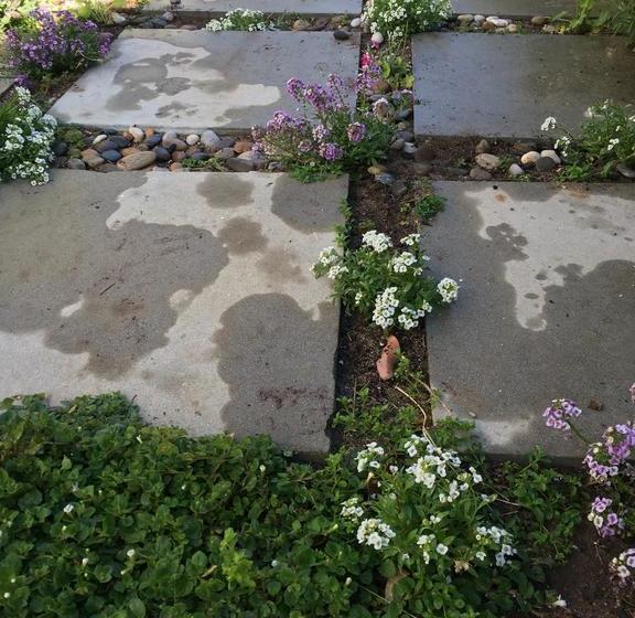 Bed and Breakfast Family Home In Vredehoek 14