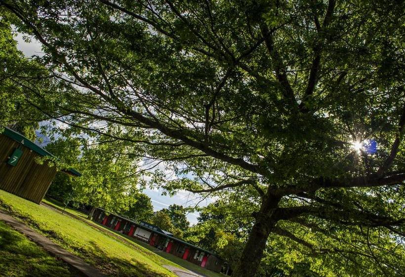 Motel Tongariro Junction 4