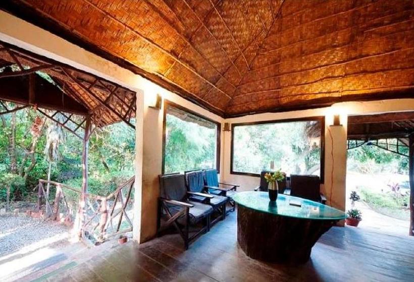 Resort Jungle Paradise