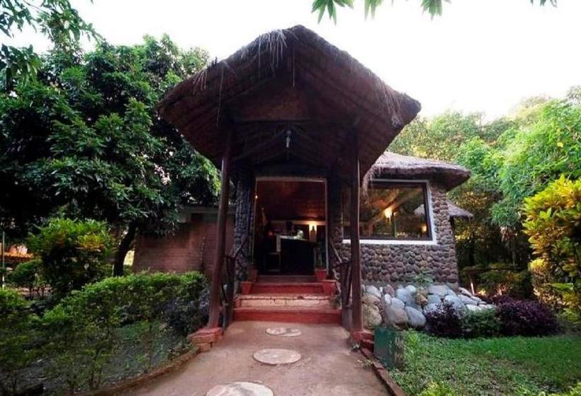 Resort Jungle Paradise 1