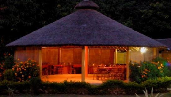 Resort Jungle Paradise 10