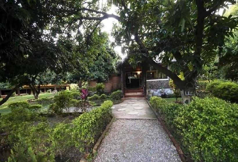 Resort Jungle Paradise 2