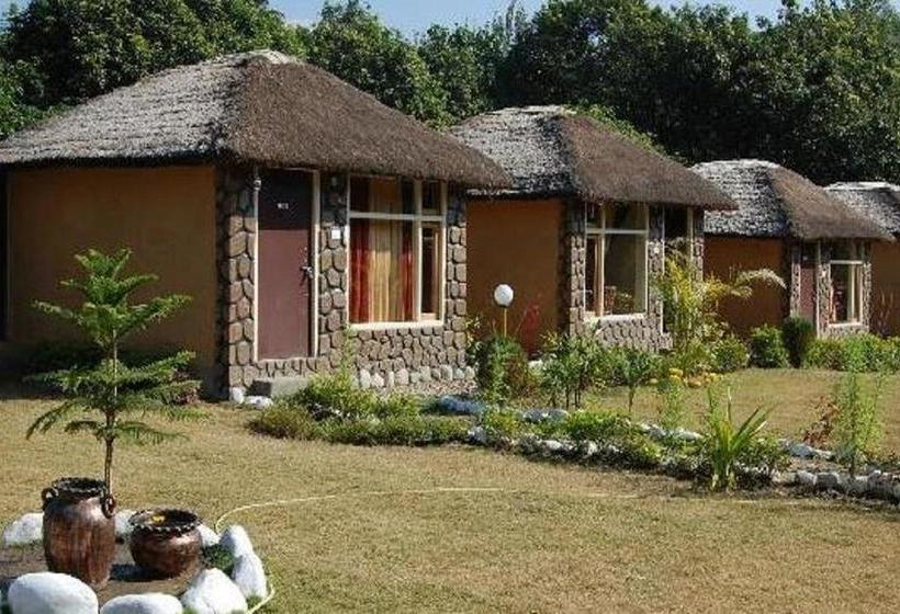 Resort Jungle Paradise 4