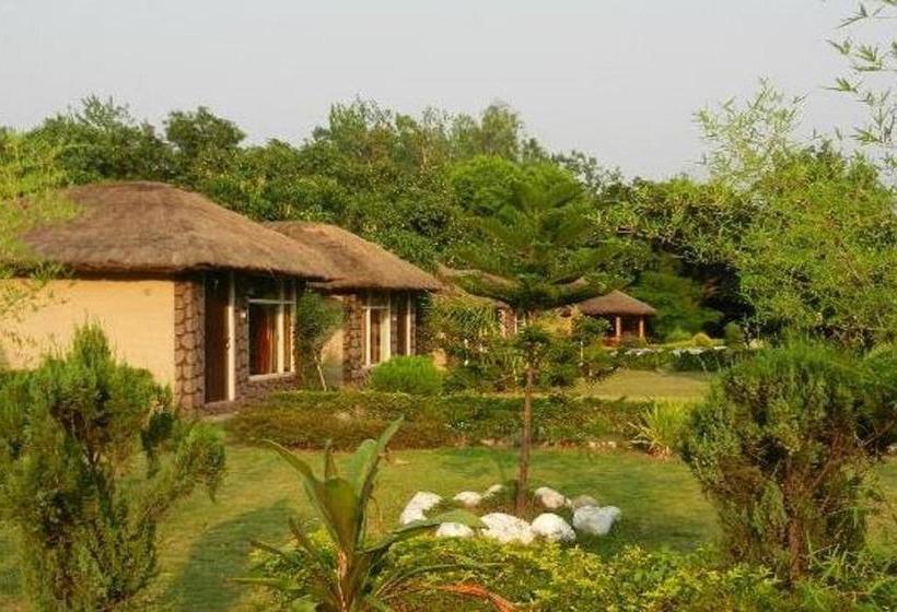 Resort Jungle Paradise 5