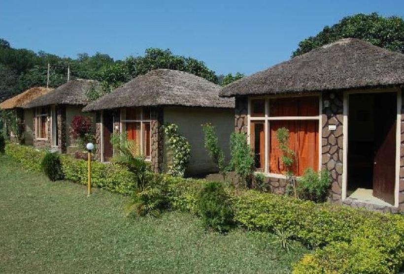 Resort Jungle Paradise 6