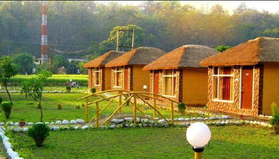 Resort Jungle Paradise 9