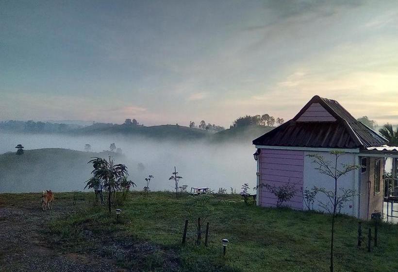 Bed and Breakfast Lovely Farm 1