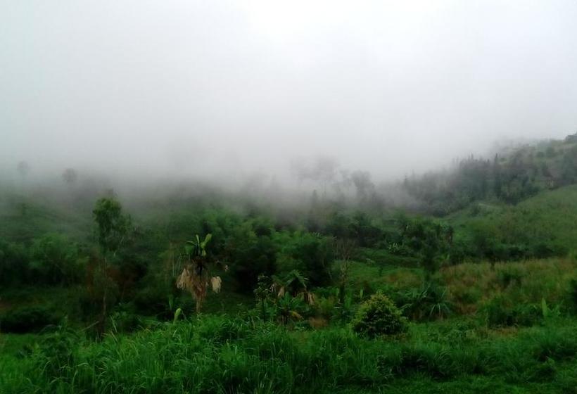 Bed and Breakfast Lovely Farm 6