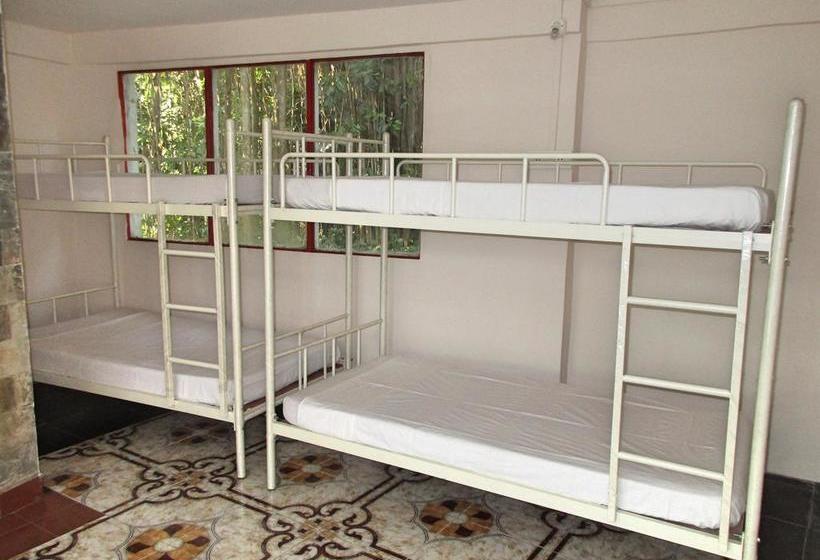 Roadhouse Hostels Arambol Goa 13