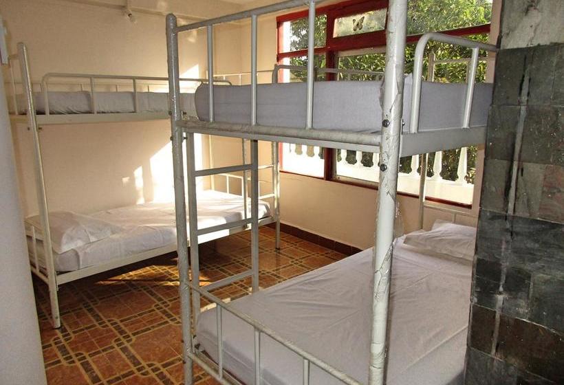 Roadhouse Hostels Arambol Goa 14