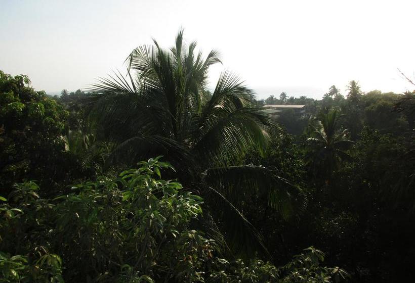 Roadhouse Hostels Arambol Goa 15