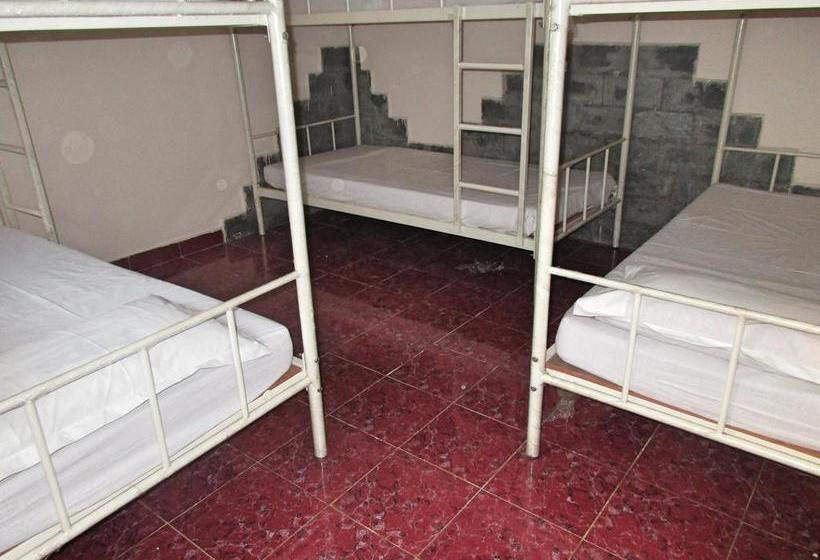 Roadhouse Hostels Arambol Goa 16