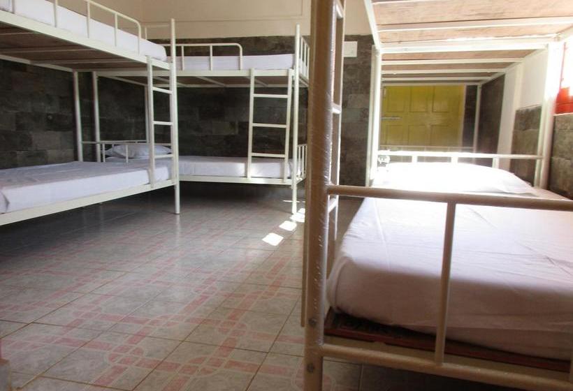 Roadhouse Hostels Arambol Goa 17