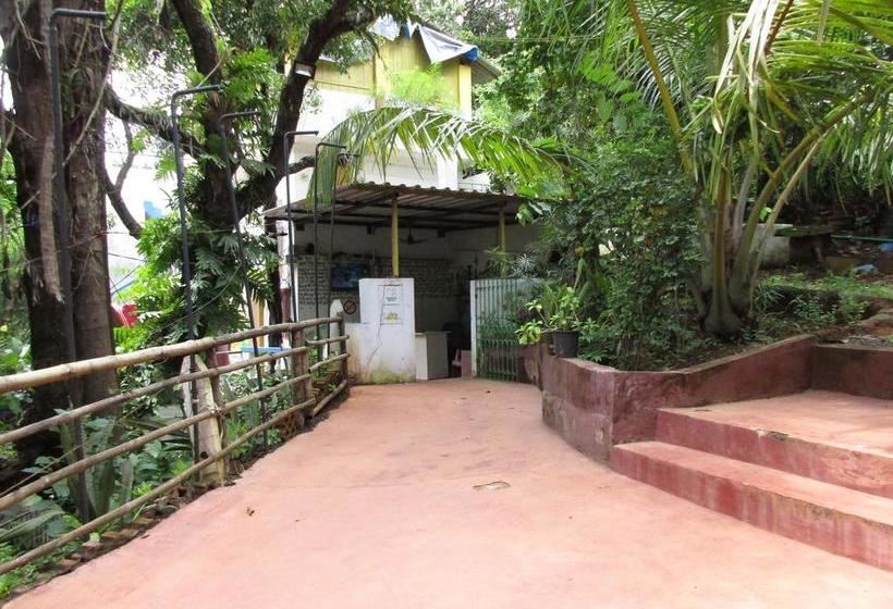 Roadhouse Hostels Arambol Goa 5