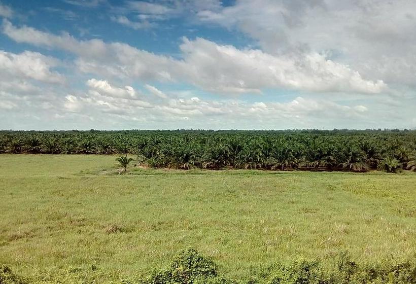 Bed and Breakfast Suratthani Airport Mini 12