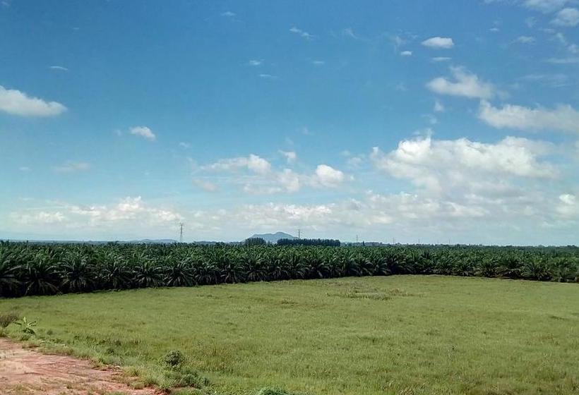 Bed and Breakfast Suratthani Airport Mini 18