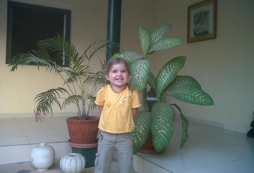 Hotel Narayani Heritage 10