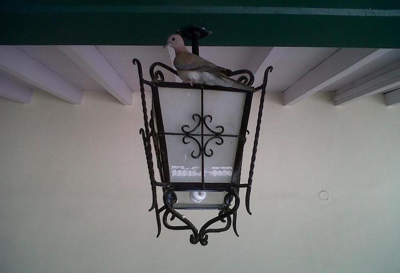 Hotel Narayani Heritage 11