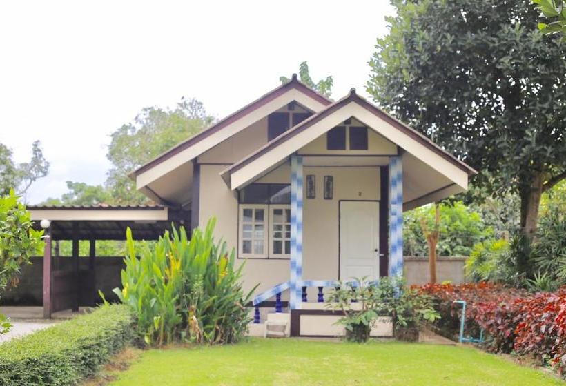 Hotel Nacha Resort 12