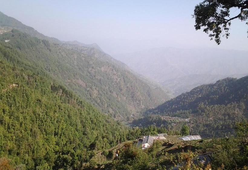 Hotel Chanakya Resort 20