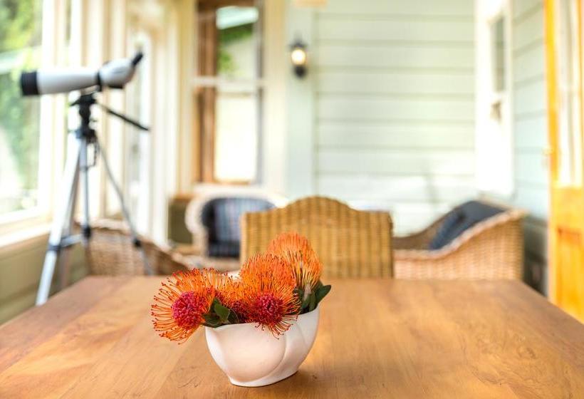 Bed and Breakfast Villa 33 12