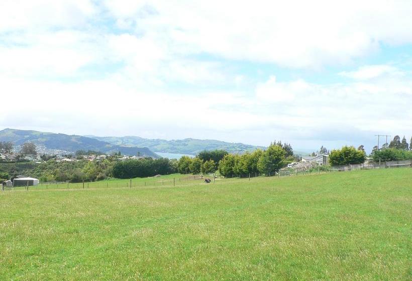 Bed and Breakfast Leah & The Lama 10