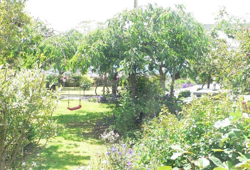 Bed and Breakfast Leah & The Lama 15