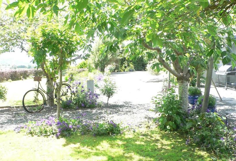 Bed and Breakfast Leah & The Lama 20