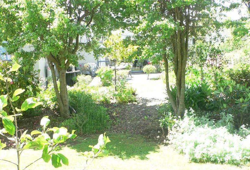 Bed and Breakfast Leah & The Lama 6