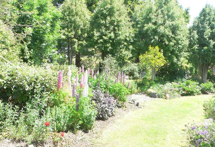 Bed and Breakfast Leah & The Lama 7