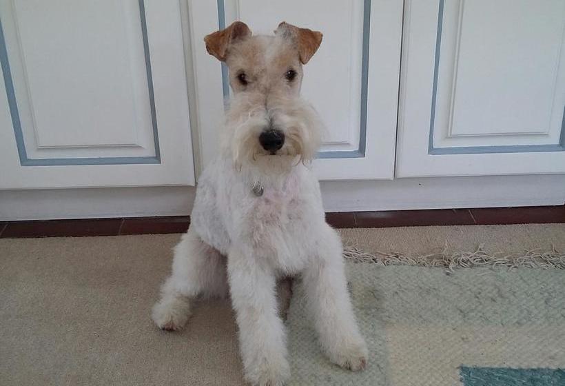 Bed and Breakfast Fynbos Corner Cottage 11